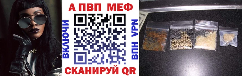 A PVP СК  Кашин 