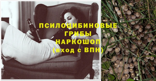 прущие грибы Красноперекопск