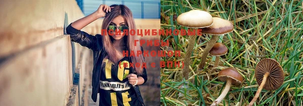 эйфоретик Корсаков