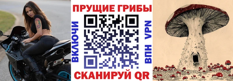 Псилоцибиновые грибы прущие грибы Кашин