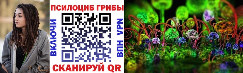 Галлюциногенные грибы мицелий  как найти закладки  Кашин 